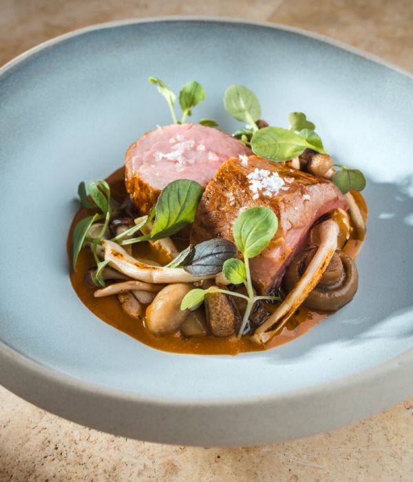 Pork Tenderloin with Bakonyi Mushroom Sauce and Pickled Mushrooms